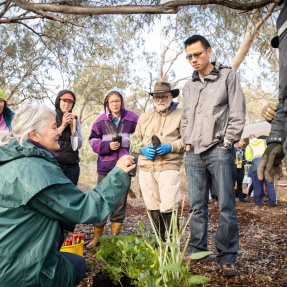 Friends of the Billabong Talking