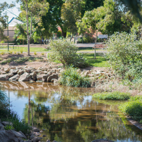 Dunstone Grove Creek