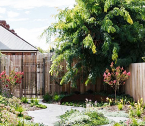 Adelaide Garden Guide for New Homes