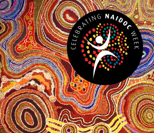 NAIDOC Week at NPSP Libraries