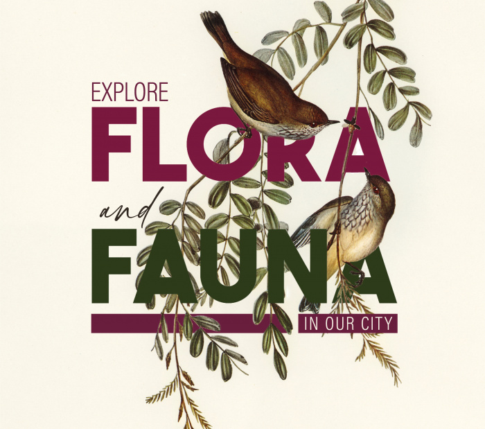 Image for Explore Flora & Fauna in our City