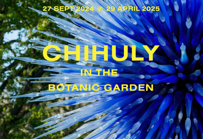 Image for Chihuly in the Botanic Garden