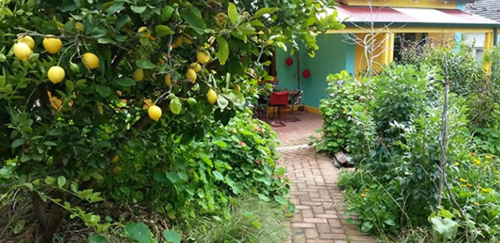 Image for Flowing from an Urban Jungle to the Magic Mallee