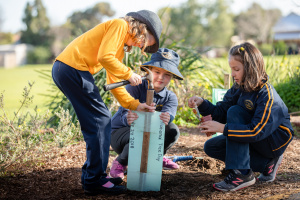 Trinity Gardens Primary School Tree Planting Day July 27 2018 14