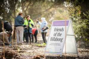 Friends of the Billabong Sign